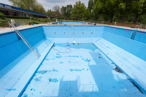 Best Mold removal after water damage  in Macarthur, WV