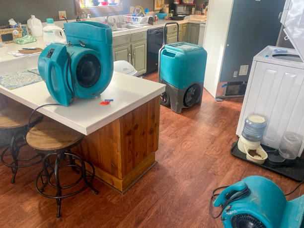 Best Carpet water damage restoration  in Macarthur, WV