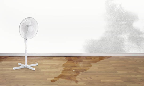Best Flood restoration services  in Macarthur, WV