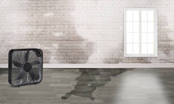 Sewage cleanup and water damage restoration in Macarthur, WV