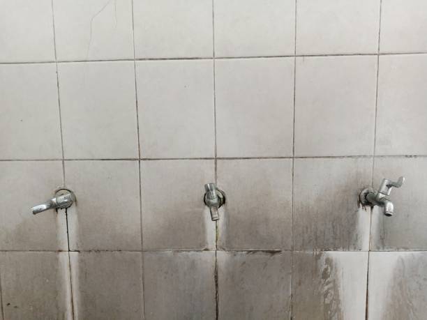 Best Emergency water damage restoration  in Macarthur, WV
