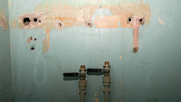 Best Flood damage cleanup  in Macarthur, WV