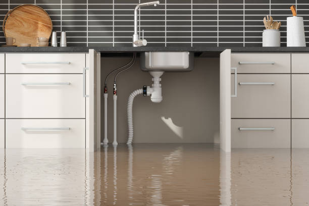 Best Fire Damage Restoration  in Macarthur, WV