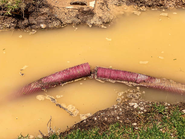 Best Professional water damage repair  in Macarthur, WV
