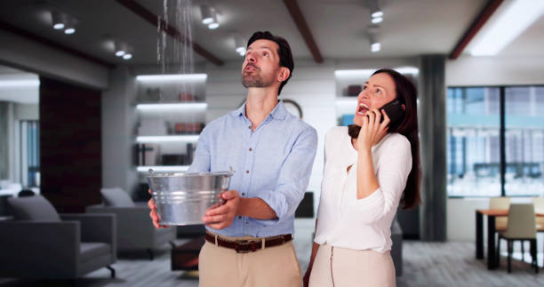 Best Ceiling water damage repair  in Macarthur, WV